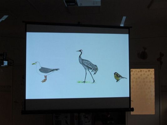 Grafika #23: 19.02.2020 Zajęcia przyrodnicze poprowadzone przez Panią ze Słowińskiego Parku Narodowego