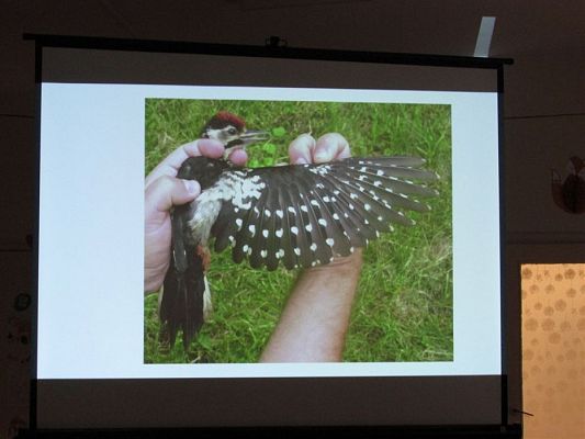 Grafika #26: 19.02.2020 Zajęcia przyrodnicze poprowadzone przez Panią ze Słowińskiego Parku Narodowego