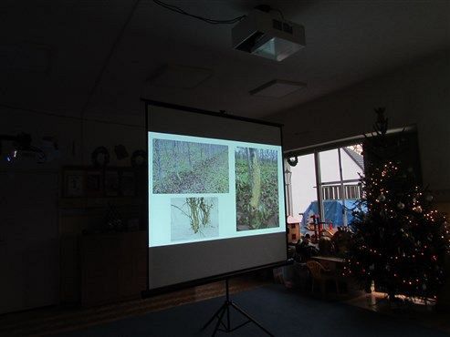 Grafika #1: 17.12 2019 Zajęcia edukacyjno-przyrodnicze Zając