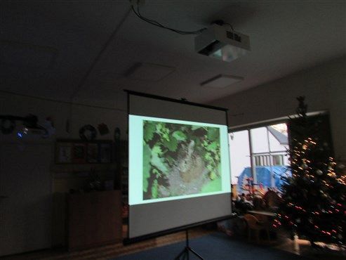 Grafika #6: 17.12 2019 Zajęcia edukacyjno-przyrodnicze Zając