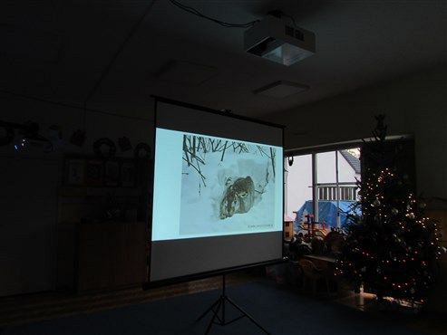 Grafika #7: 17.12 2019 Zajęcia edukacyjno-przyrodnicze Zając