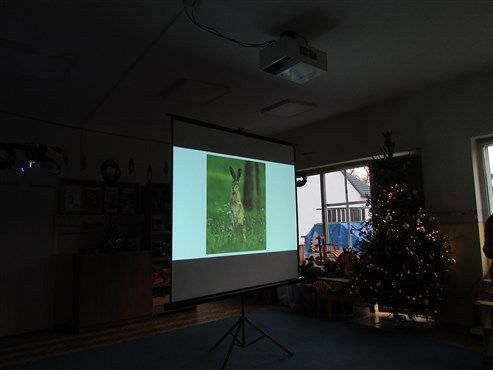 Grafika #9: 17.12 2019 Zajęcia edukacyjno-przyrodnicze Zając