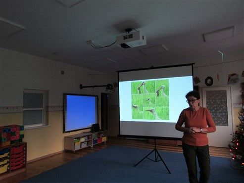 Grafika #15: 17.12 2019 Zajęcia edukacyjno-przyrodnicze Zając