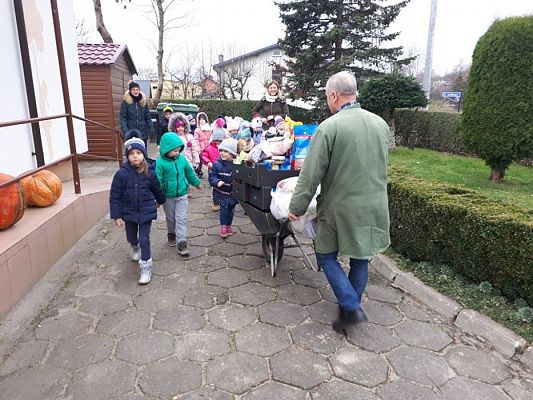 Grafika #3: PEŁNA MISKA DLA SCHRONISKA- ukończenie akcji