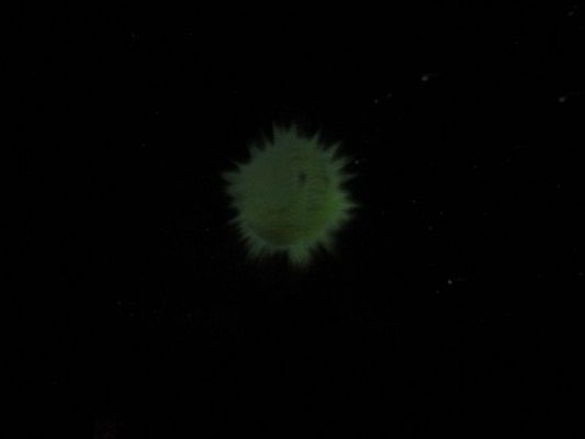 Grafika #6: 20.11.2019 Mobilne Planetarium