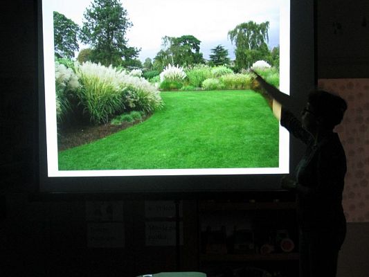 Grafika #4: 13.11.2019 Zajęcia edukacyjne nt. "Dokarmiamy ptaki"