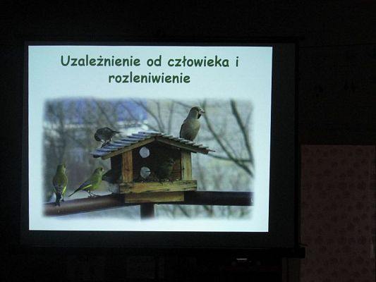 Grafika #5: 13.11.2019 Zajęcia edukacyjne nt. "Dokarmiamy ptaki"