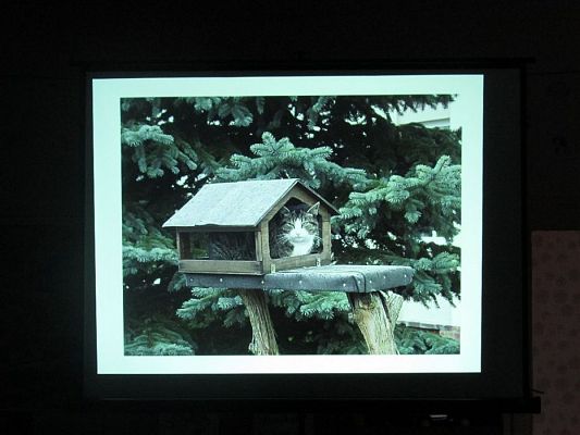 Grafika #7: 13.11.2019 Zajęcia edukacyjne nt. "Dokarmiamy ptaki"