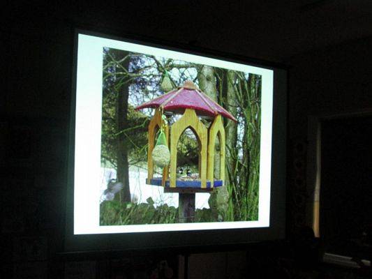 Grafika #9: 13.11.2019 Zajęcia edukacyjne nt. "Dokarmiamy ptaki"