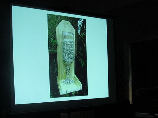 Grafika #12: 13.11.2019 Zajęcia edukacyjne nt. "Dokarmiamy ptaki"