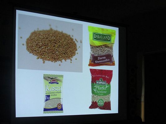 Grafika #14: 13.11.2019 Zajęcia edukacyjne nt. "Dokarmiamy ptaki"