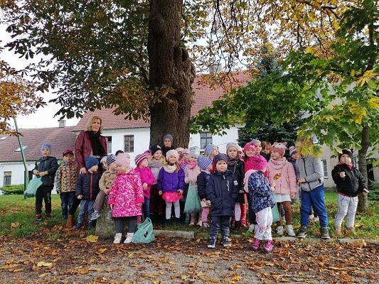 Grafika #5: Spacer do parku - zabawy z liśćmi i zbieranie kasztanów