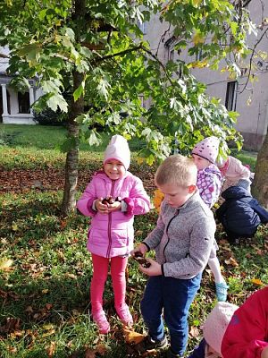 Grafika #7: Spacer do parku - zabawy z liśćmi i zbieranie kasztanów