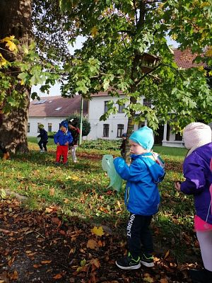 Grafika #8: Spacer do parku - zabawy z liśćmi i zbieranie kasztanów