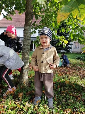 Grafika #10: Spacer do parku - zabawy z liśćmi i zbieranie kasztanów