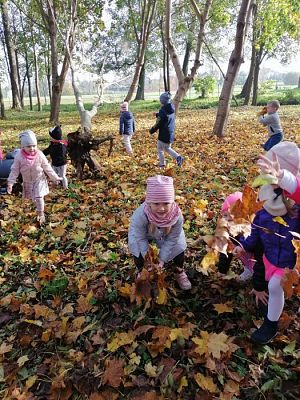 Grafika #12: Spacer do parku - zabawy z liśćmi i zbieranie kasztanów