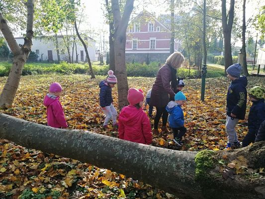 Grafika #14: Spacer do parku - zabawy z liśćmi i zbieranie kasztanów