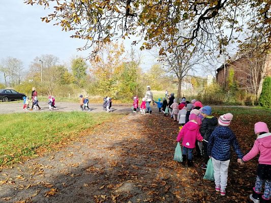 Grafika #15: Spacer do parku - zabawy z liśćmi i zbieranie kasztanów
