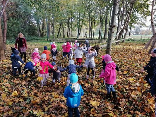 Grafika #16: Spacer do parku - zabawy z liśćmi i zbieranie kasztanów