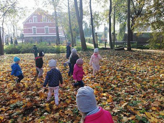 Grafika #20: Spacer do parku - zabawy z liśćmi i zbieranie kasztanów