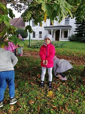 Grafika #24: Spacer do parku - zabawy z liśćmi i zbieranie kasztanów