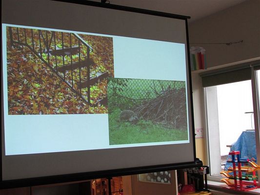 Grafika #3: 23.10.2019 Zajęcia edukacyjne nt."W świecie zwierząt-jeż"