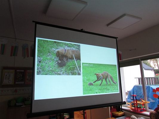 Grafika #16: 23.10.2019 Zajęcia edukacyjne nt."W świecie zwierząt-jeż"