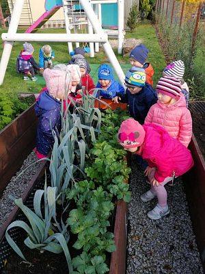 Grafika #1: 17.10.2019 Wizyta w ogrodzie - gr I