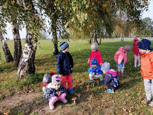 Grafika #3: 17.10.2019 Wizyta w ogrodzie - gr I