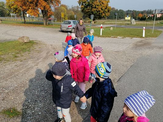 Grafika #4: 17.10.2019 Wizyta w ogrodzie - gr I