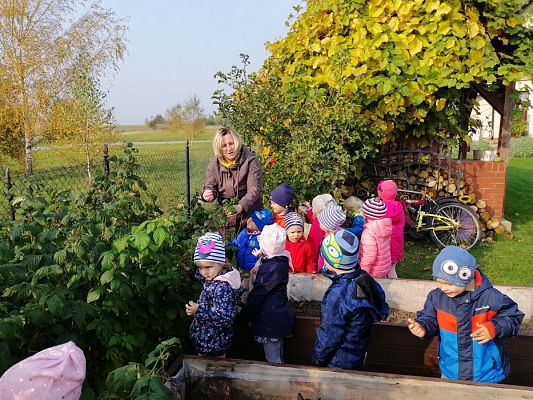 Grafika #5: 17.10.2019 Wizyta w ogrodzie - gr I