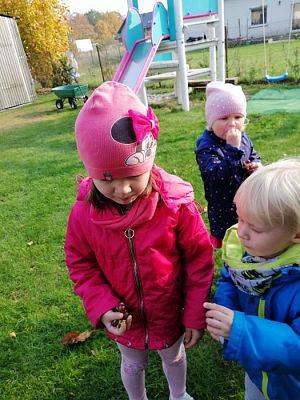 Grafika #7: 17.10.2019 Wizyta w ogrodzie - gr I