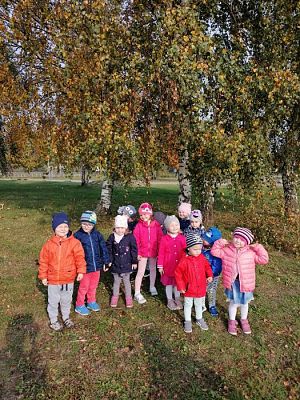 Grafika #9: 17.10.2019 Wizyta w ogrodzie - gr I