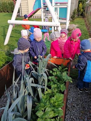 Grafika #10: 17.10.2019 Wizyta w ogrodzie - gr I