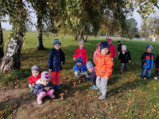 Grafika #11: 17.10.2019 Wizyta w ogrodzie - gr I