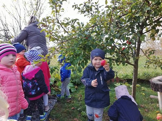 Grafika #12: 17.10.2019 Wizyta w ogrodzie - gr I