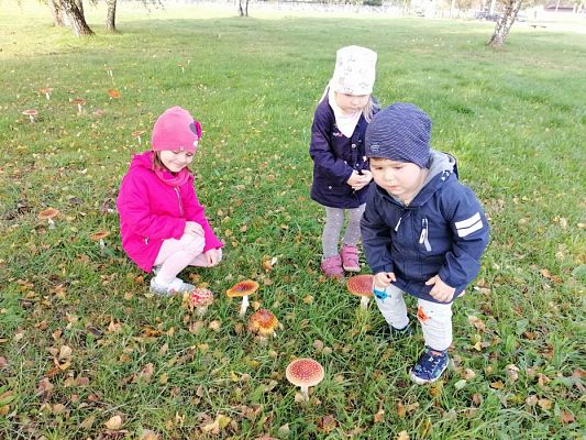 Grafika #13: 17.10.2019 Wizyta w ogrodzie - gr I