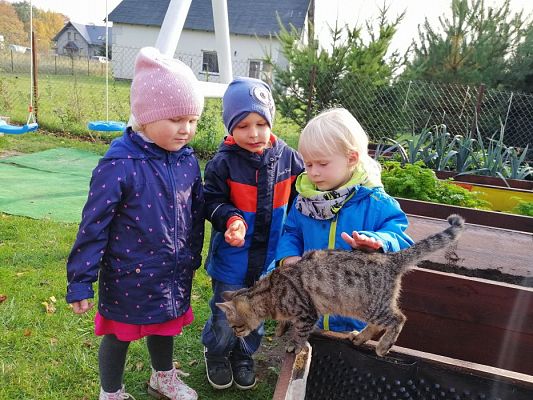 Grafika #14: 17.10.2019 Wizyta w ogrodzie - gr I