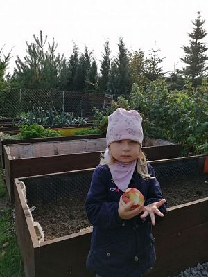 Grafika #16: 17.10.2019 Wizyta w ogrodzie - gr I