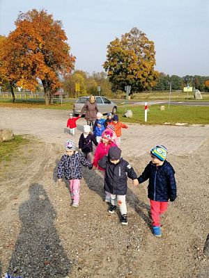 Grafika #18: 17.10.2019 Wizyta w ogrodzie - gr I