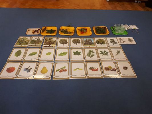 Grafika #7: 30.09.2019 Jesienne kodowanie Gr III