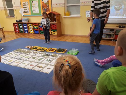 Grafika #14: 30.09.2019 Jesienne kodowanie Gr III