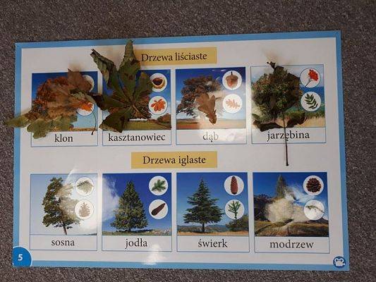 Grafika #0: 26.09.2019 Mały badacz razem z książką poznaje świat Gr II