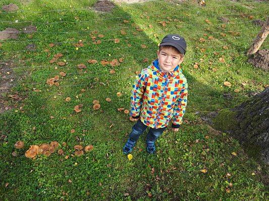 Grafika #2: 26.09.2019 Mały badacz razem z książką poznaje świat Gr II