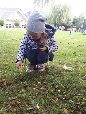 Grafika #8: 26.09.2019 Mały badacz razem z książką poznaje świat Gr II