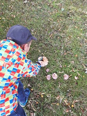 Grafika #9: 26.09.2019 Mały badacz razem z książką poznaje świat Gr II