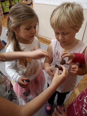 Grafika #17: 26.09.2019 Mały badacz razem z książką poznaje świat Gr II