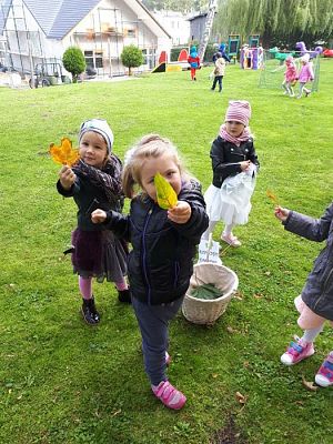 Grafika #19: 26.09.2019 Mały badacz razem z książką poznaje świat Gr II