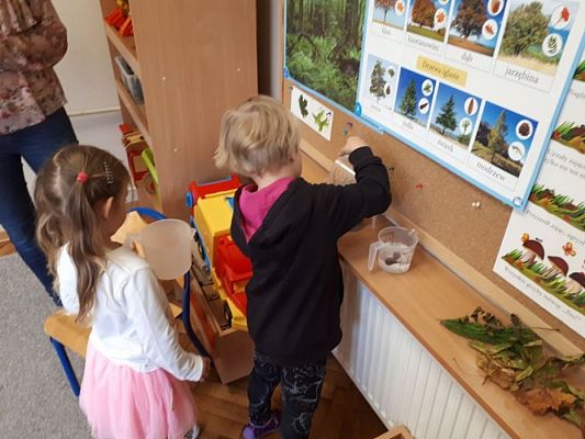 Grafika #20: 26.09.2019 Mały badacz razem z książką poznaje świat Gr II