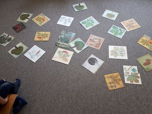 Grafika #28: 26.09.2019 Mały badacz razem z książką poznaje świat Gr II